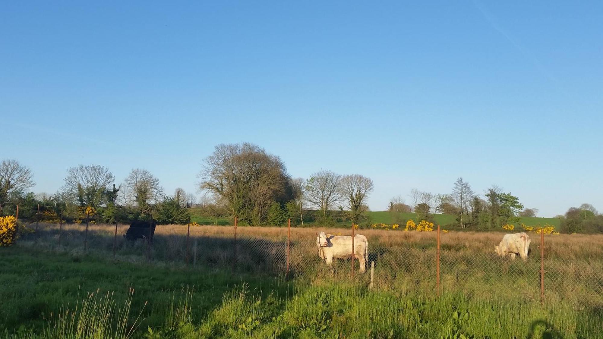Cloghan Castleisland