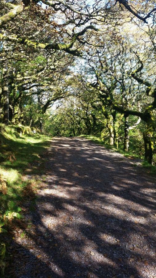 Cloghan Bed & Breakfast